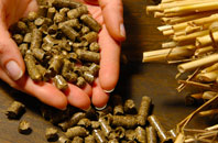 free Shippon biomass boiler quotes